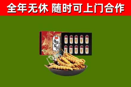 蠡市回收冬虫夏草价格